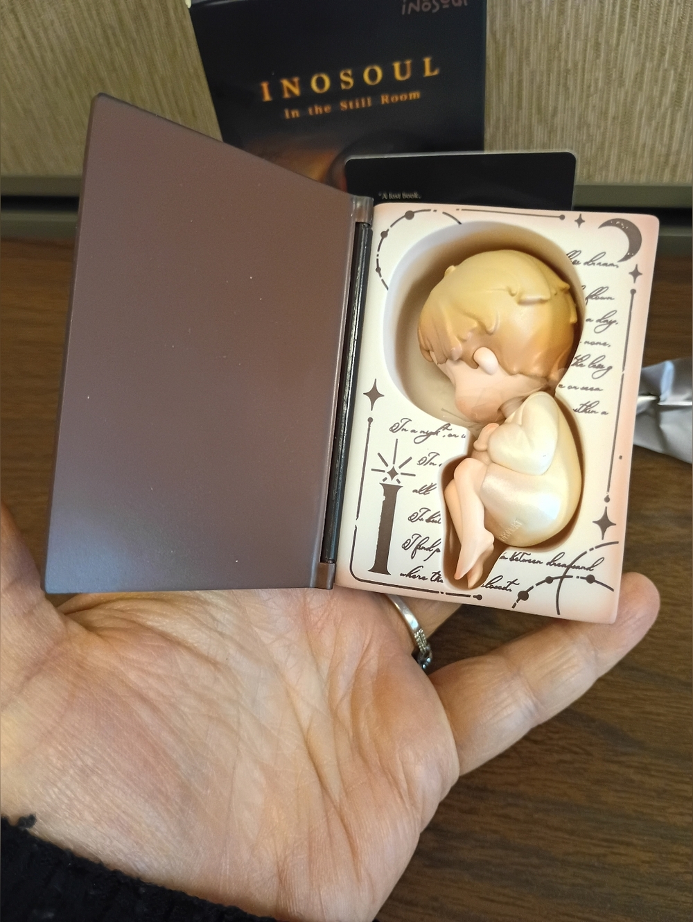 T14 Inosoul Confirmed Blind Box Figure In The Still Room